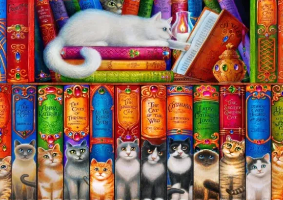 Cat Bookshelf