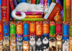 Cat Bookshelf