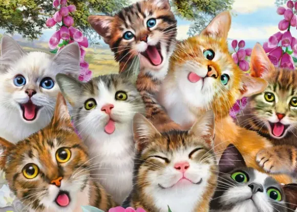 Cats' Selfy