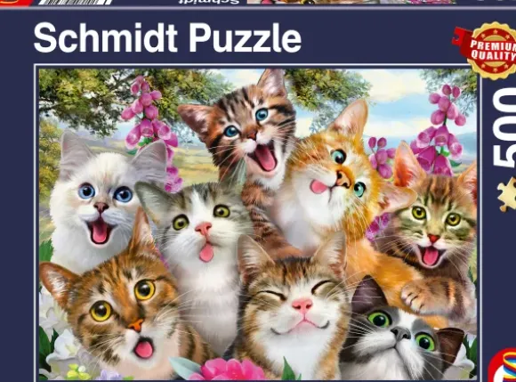 Cats' Selfy