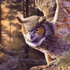 Chasseur le Soir