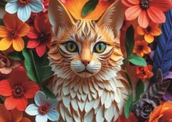 Chat