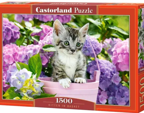 Chaton dans le Pot