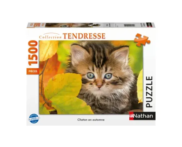 Chaton en automne