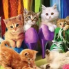 Chatons