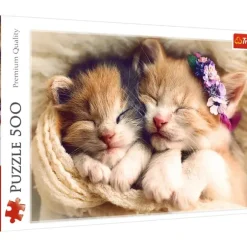 Chatons