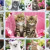 Chatons