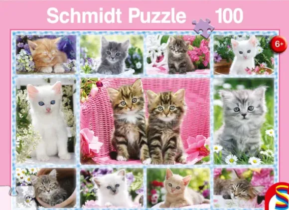 Chatons