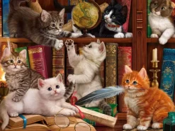 Chatons dans la Librairie