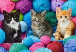 Chatons dans un Magasin de Laine