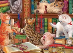 Chatons de Bibliothéque