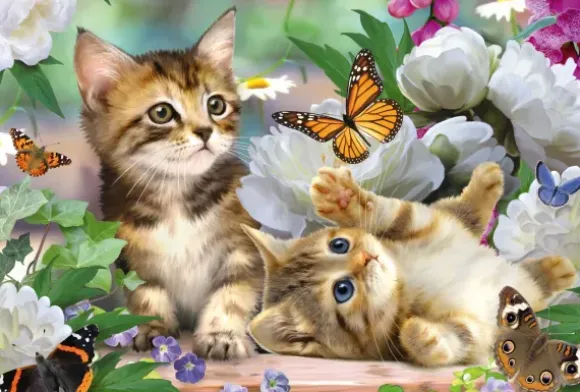 Chatons Espiègles