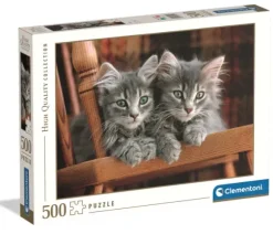 Chatons Gris sur la Chaise
