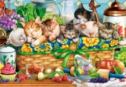 Chatons qui Font la Sieste