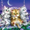 Chatons se Balançant au Clair de Lune