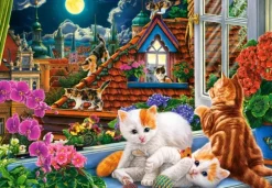 Chatons sur le Toit