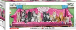 Chatons sur un Fauteuil