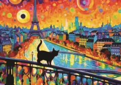 Chat À Paris