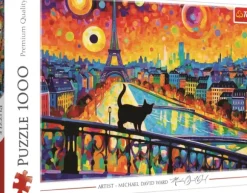 Chat À Paris