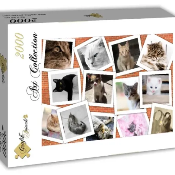 Chats