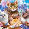 Chats avec Fleurs