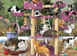 Chats de la Jungle