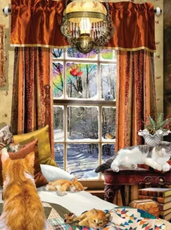 Chats D'Hiver