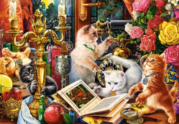 Chats Sorciers