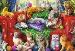 Chats sur le Sofa