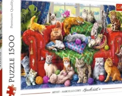 Chats sur le Sofa