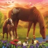 Chevaux Dans Le Pré
