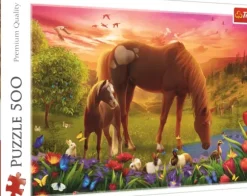 Chevaux Dans Le Pré