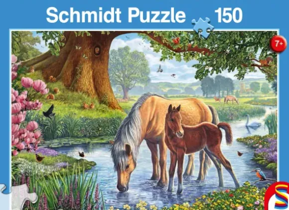Chevaux dans le Ruisseau