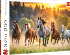 Chevaux Sauvages