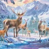 Chevreuils Et Cerfs
