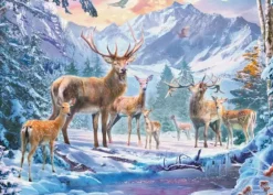 Chevreuils Et Cerfs