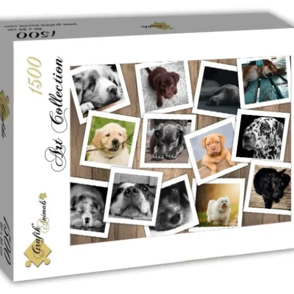 Chiens