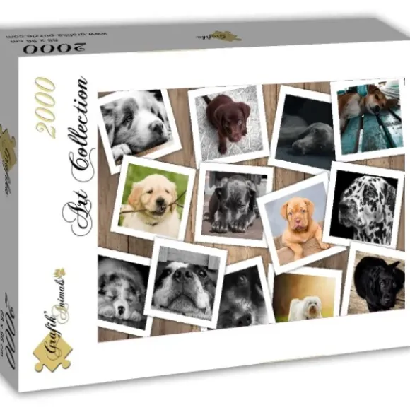 Chiens