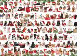 Chiens de Noël