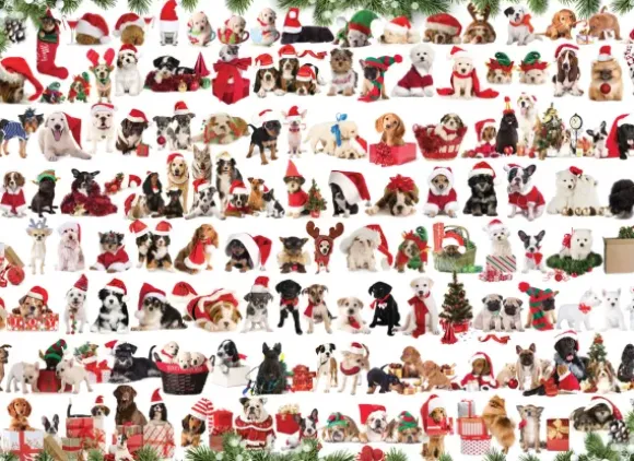 Chiens de Noël