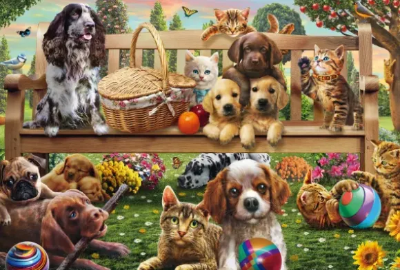 Chiens et Chats