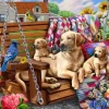 Chiens et Courtepointes