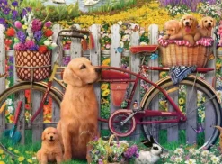 Chiens mignons dans le Jardin