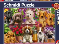 Chiens sur l'Etagère
