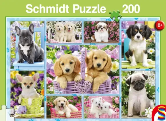 Chiots