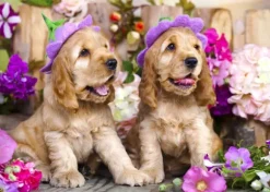 Chiots aux Chapeaux de Fleurs