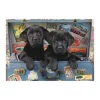 Chiots dans un Coffre