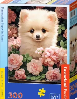 Chiot Spitz Nain dans les Roses