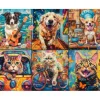 Choisissez Votre Animal