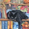 Chrissy Snelling - On the Shelf